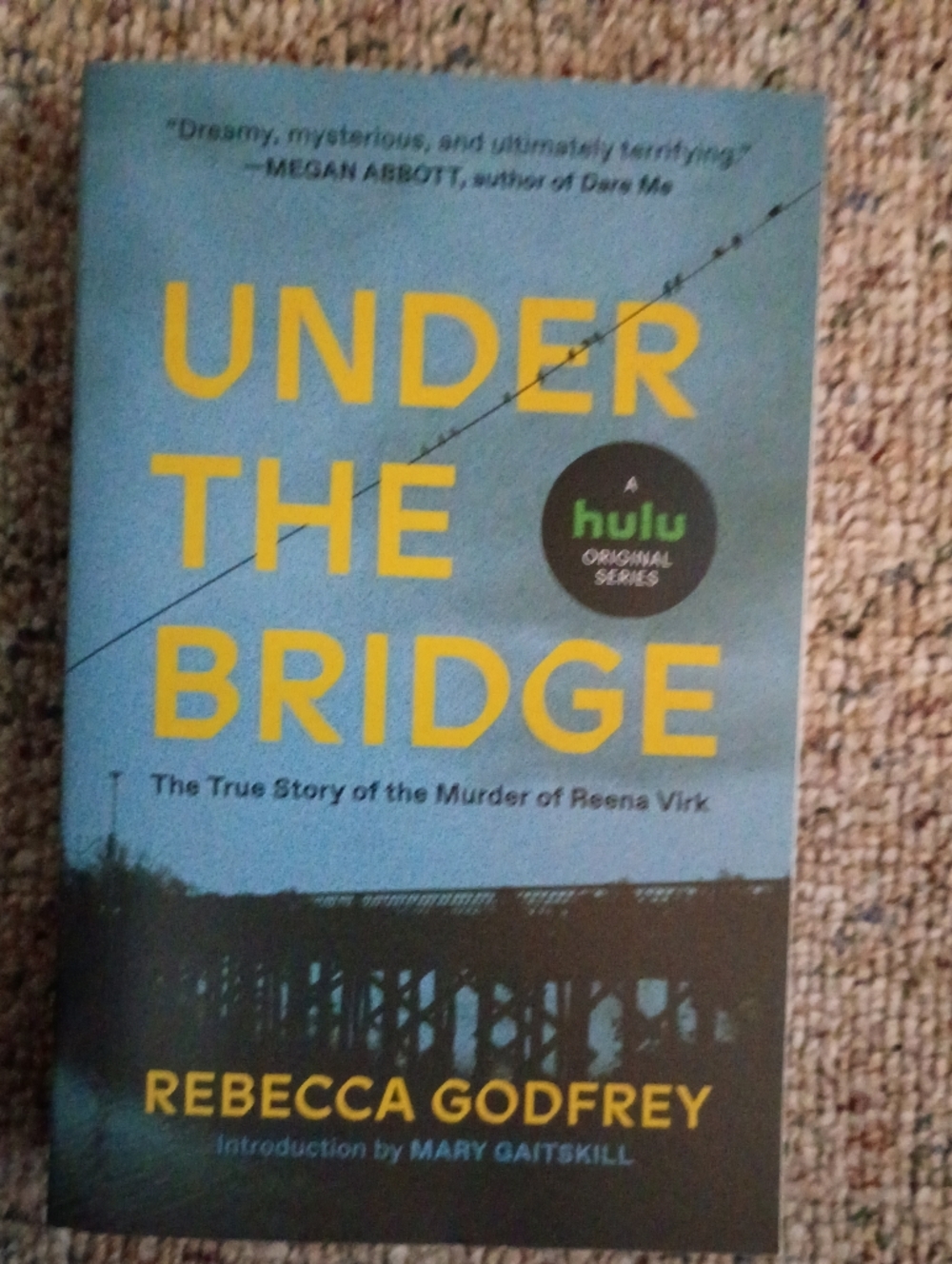 Under the Bridge by Rebecca Godfrey - Blue & Yellow Hardcover